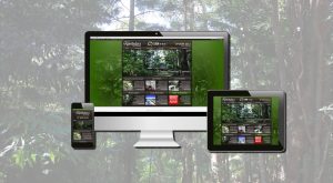 bed and breakfast website builder gold coast